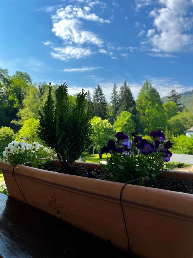 Park Villa Zentral Am Mittelrhein - Zimmer & Apartments Boppard Ngoại thất bức ảnh